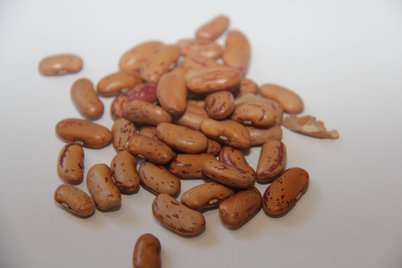 Braune Bohnen