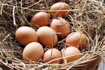Eier im Strohnest im Hühnerstall eingesammelt