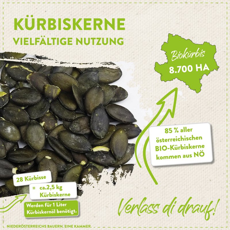 Informationen zu Kürbiskernen au Niederösterreich