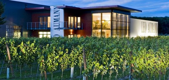 Leo Aumann Titelbild