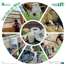Plakat mit rundem Kreis, wo die Schritte vom Gras zur Milch abgebildet sind.