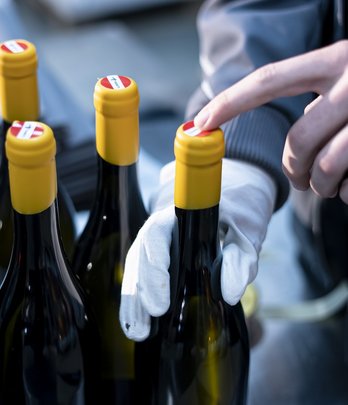 Weinbanderole ©OeWM/Robert-Herbst