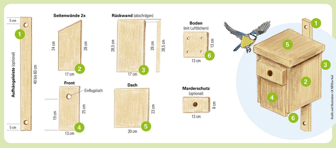 Illustration Bauteile eines Nistkastens ©Eva Kail/LK Niederösterreich