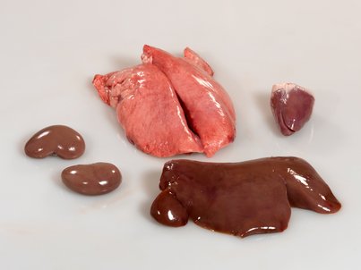 v.l.n.r.: Niere, Beuschel, Leber und Herz ©AMA Marketing