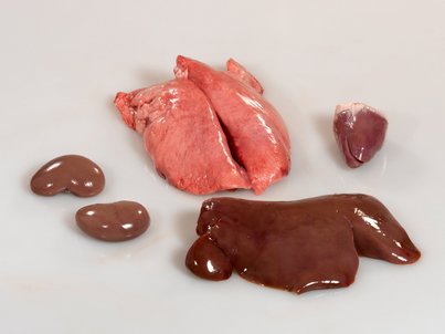 v.l.n.r.: Niere, Beuschel, Leber und Herz ©AMA Marketing