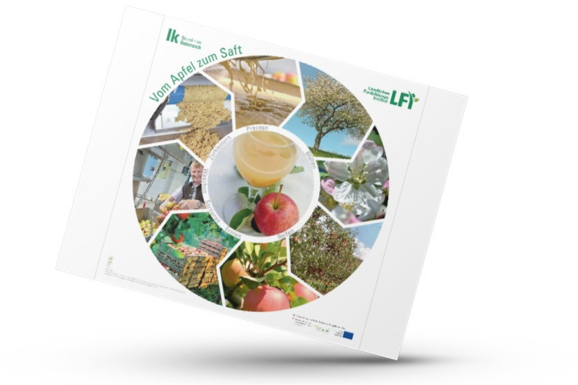 Mockup von Plakat mit rundem Kreis, wo die Schritte der Herstellung vom Apfel zum Saft dargestellt sind.