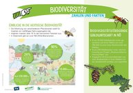 Factsheet Biodiversität Zahlen & Fakten.jpg