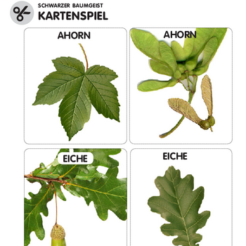 Kartenspiel: Schwarzer Baumgeist