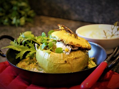 Gefüllte Kohlrabi ©Elisabeth Heidegger/LK Niederösterreich