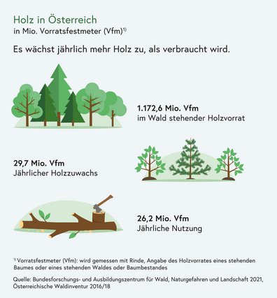 Holz in Österreich ©Zahlen und Fakten 2021/BMLRT