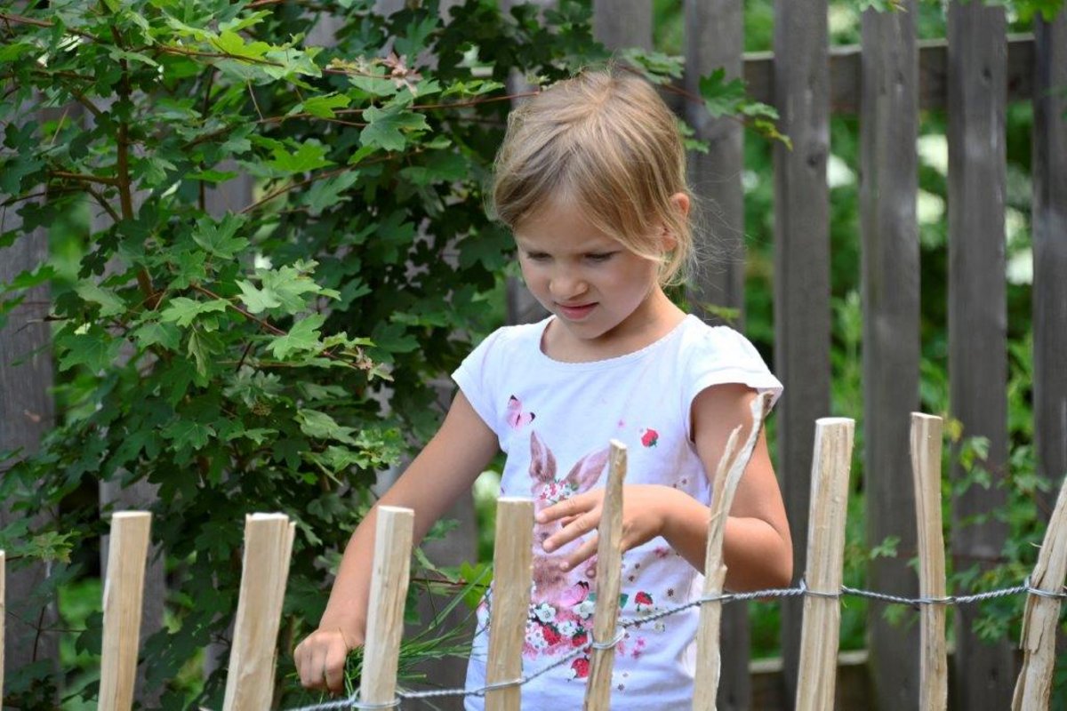 Kindergarten am Bauernhof - Landwirtschaft verstehen