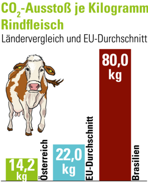 Der CO2-Ausstoß je Kilogramm Rindfleisch im Ländervergleich und im EU-Durchschnitt.