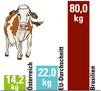 Der CO2-Ausstoß je Kilogramm Rindfleisch im Ländervergleich und im EU-Durchschnitt.