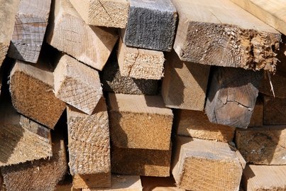 Sägeindustrie ©Fotoarchiv Forst/LK Niederösterreich