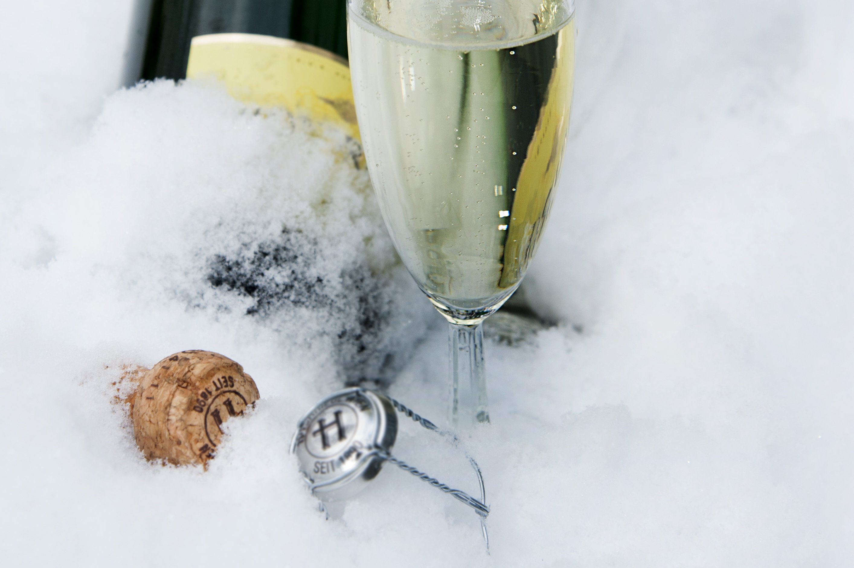 Sektflasche und Sektglas in Eis