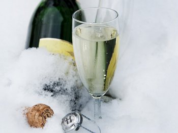 Sektflasche und Sektglas in Eis
