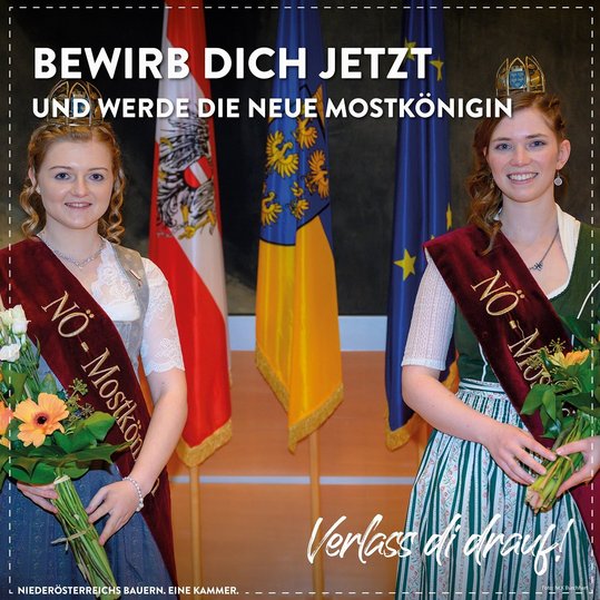 Bewirb dich jetzt und werde neue Mostkönigin!