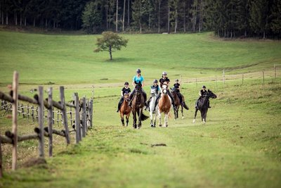 Austritt im Gelände mit Pferden bei Urlaub am Bauernhof ©Andreas Hofer