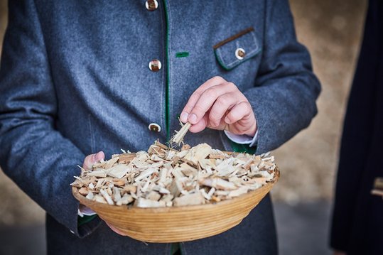 Biomasse trägt zu einer nachhaltigen Bewirtschaftung unserer Wälder bei.