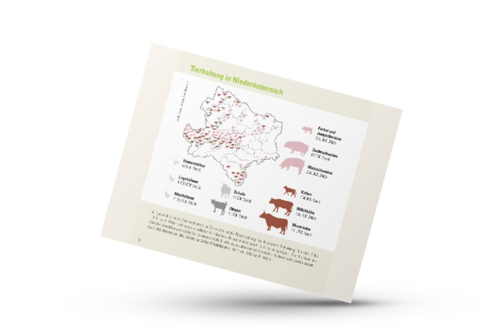 Infografik von Verlass di drauf der Landwirtschaftskammer Niederösterreich zum Viehbestand in Niederösterreich