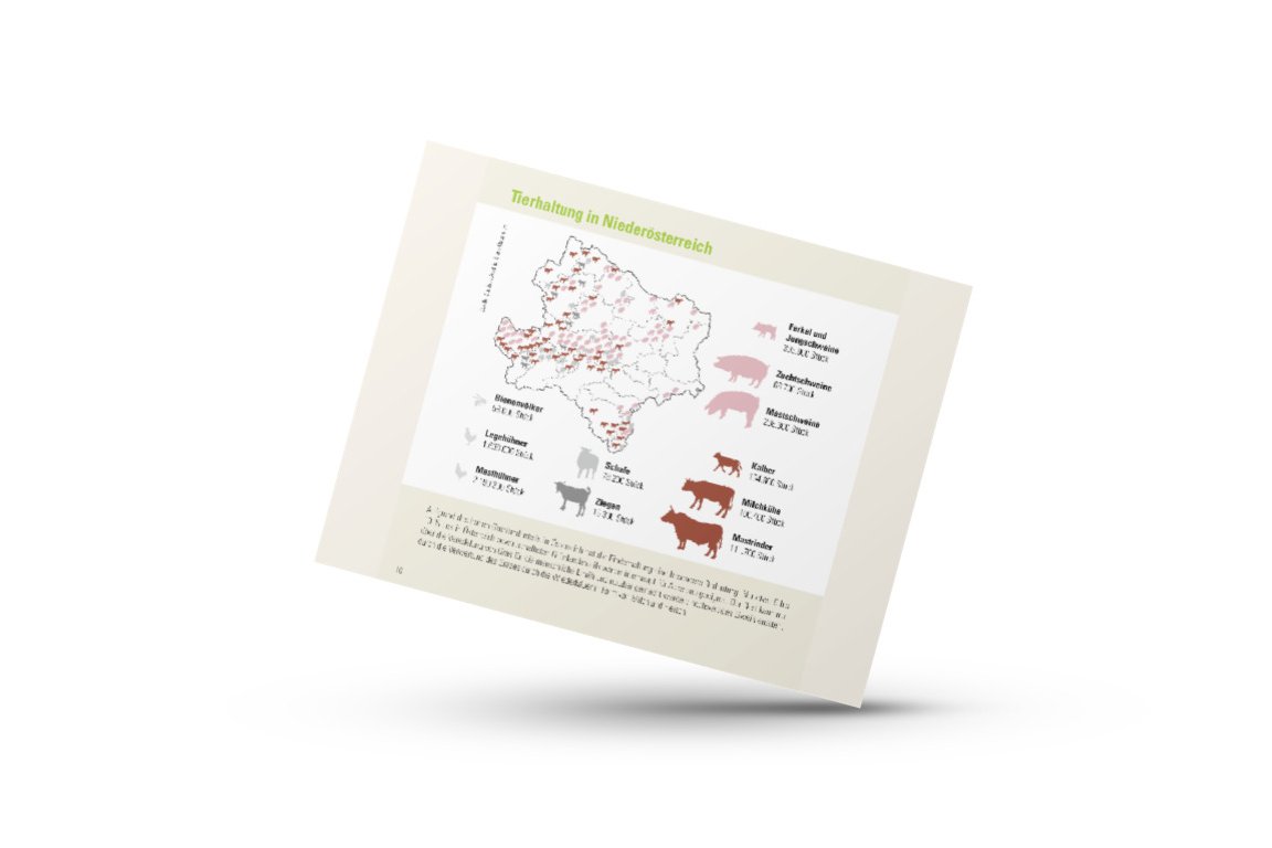 Infografik von Verlass di drauf der Landwirtschaftskammer Niederösterreich zum Viehbestand in Niederösterreich