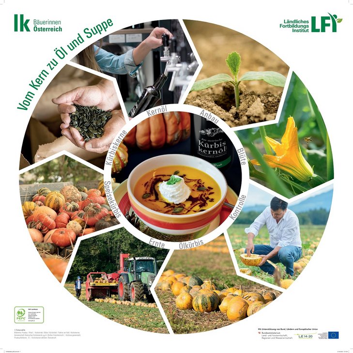 Plakat vom Kürbis zum Öl und zur Suppe