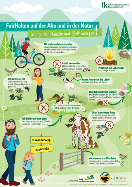 Plakat der Landwirtschaftskammer Niederösterreich zu Verhaltensregeln auf Alm und Weide 2021