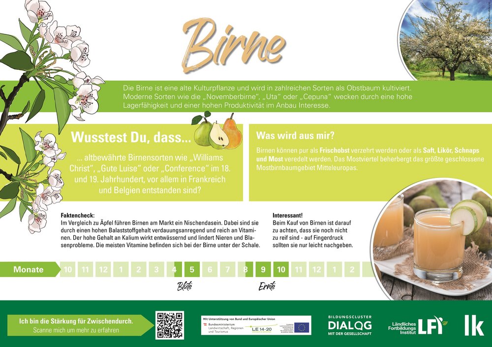 Birne Fakten Österreich