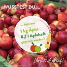Apfelsaftfakt