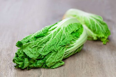 Ein Chinakohl liegt auf einem Holztisch