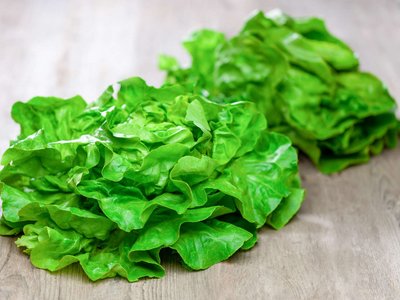 Zwei Salatköpfe liegen auf einem Holztisch