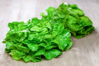 Zwei Salatköpfe liegen auf einem Holztisch