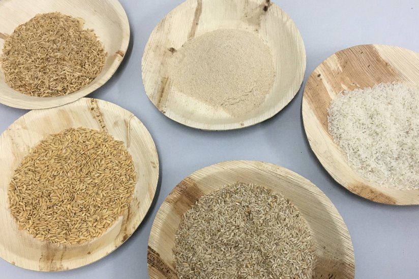 Reis vor und nach dem Entspelzen ©Regina Fuchs