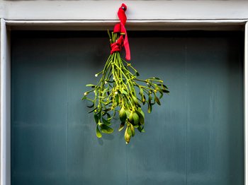 Mistelzweige über der Türe ©unsplash