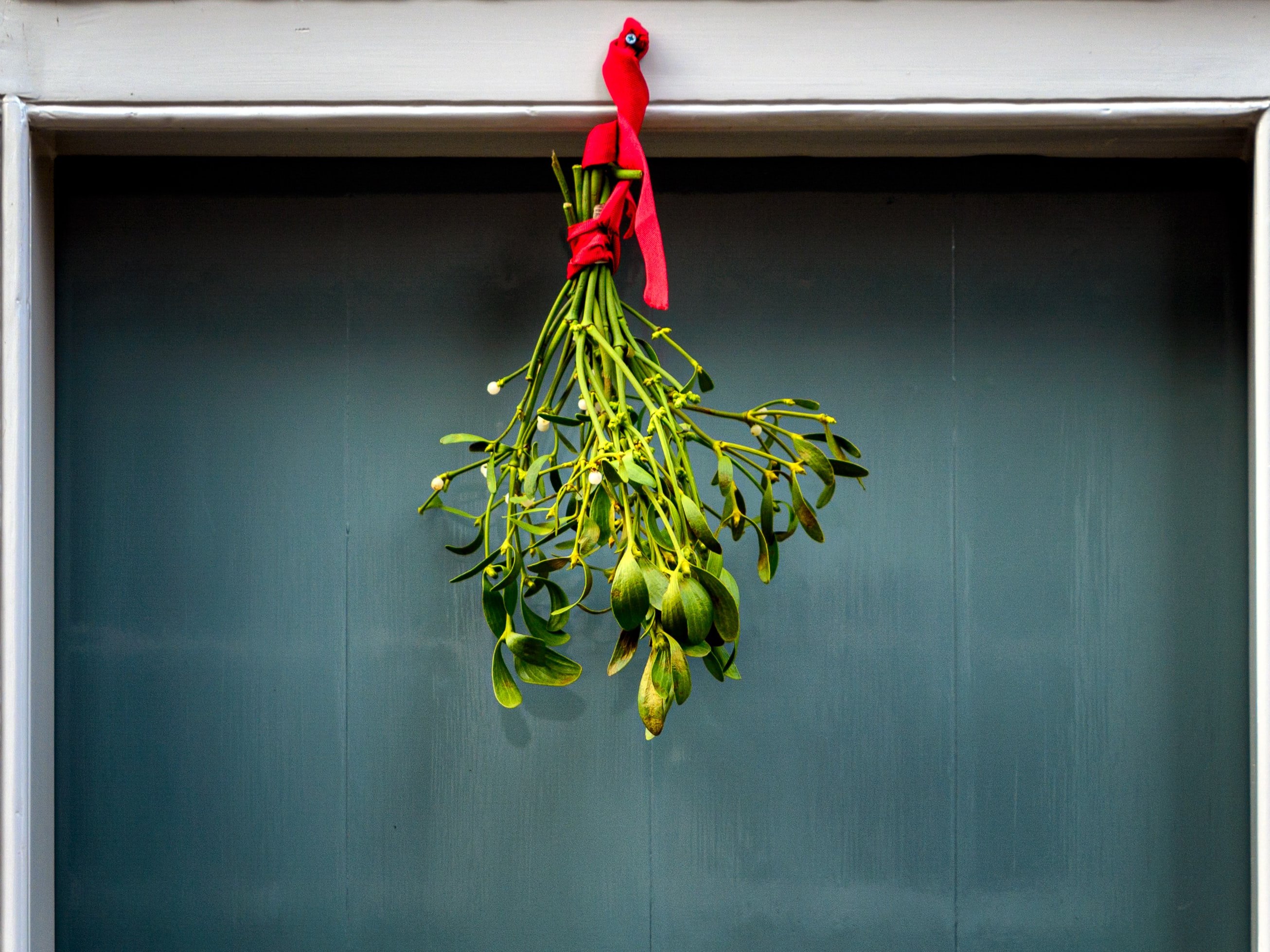 Mistelzweige über der Türe ©unsplash