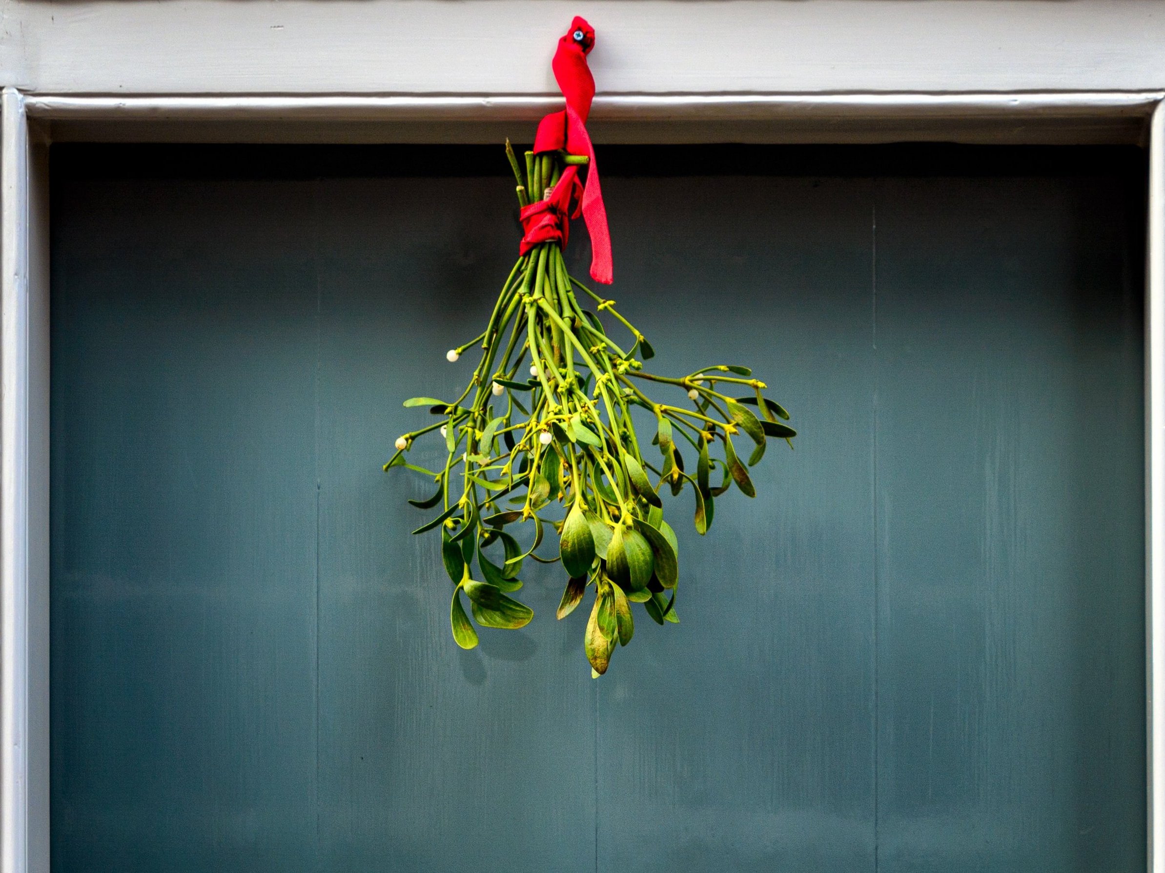 Mistelzweige über der Türe ©unsplash