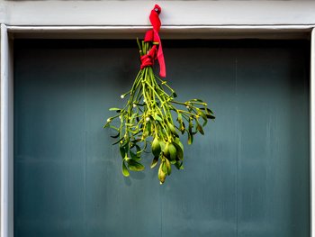 Mistelzweige über der Türe ©unsplash