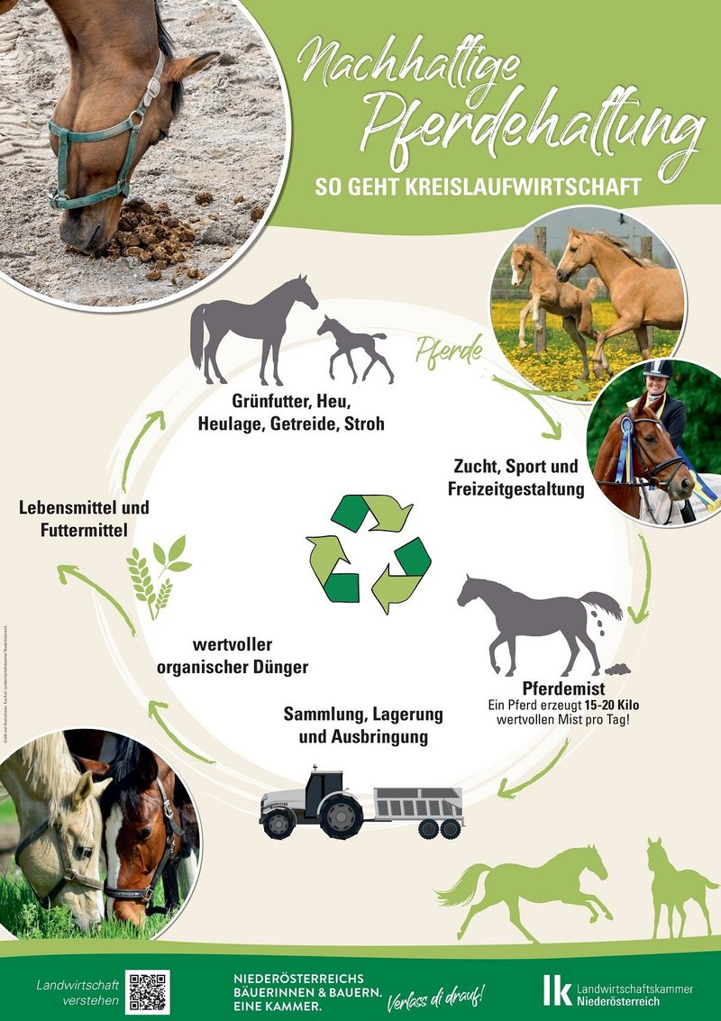 Plakat Pferdehaltung Nachhaltigkeit