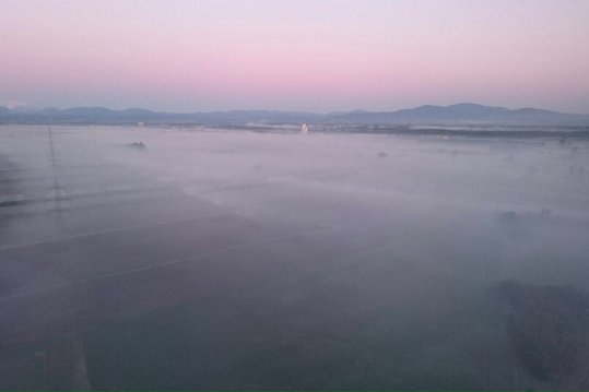 Räuchern im Weingarten ©LK Niederösterreich/Referat Pflanzenbau