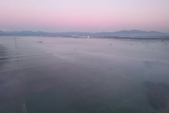 Räuchern im Weingarten ©LK Niederösterreich/Referat Pflanzenbau