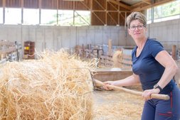 Schafbäuerin Waltraud Sterkl beim Einstreuen von Stroh im Schafstall