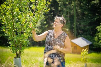 Kontrolle der Bäume ©Georg Pomaßl/LK Niederösterreich