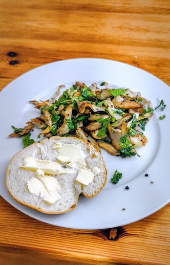 Austernseitlinge zubereitet