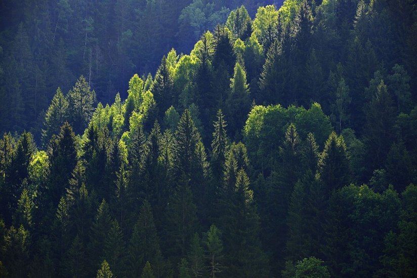 Göfnitz ©BMLRT/Alexander Haiden