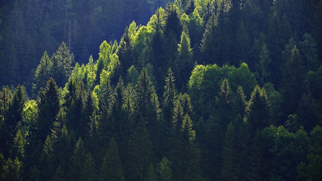 Göfnitz ©BMLRT/Alexander Haiden