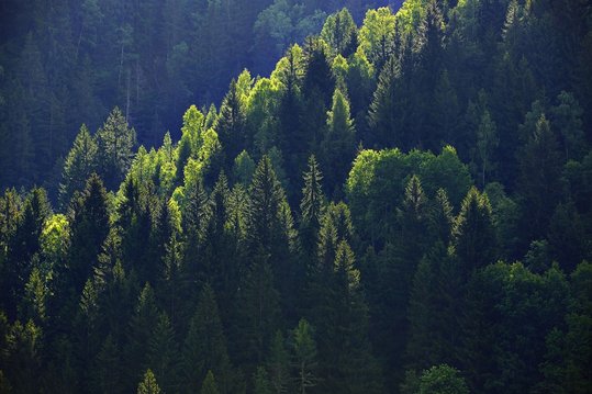 Göfnitz ©BMLRT/Alexander Haiden