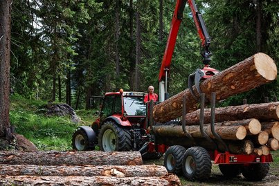 Maschinelle Holzverarbeitung ©BMLRT/Alexander Haiden