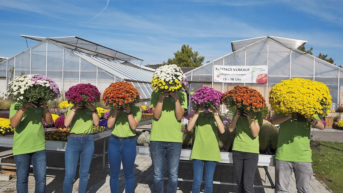 Schul.Info.Tag Gartenbauschule Langenlois Titelimage