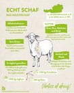 Infografik von Verlass di drauf der Landwirtschaftskammer Niederösterreich zum Milchschaf