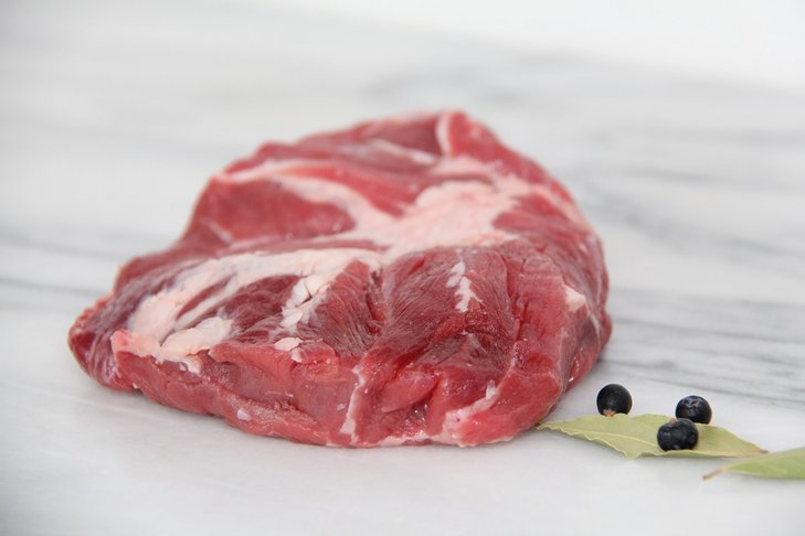 Fledermaus ©Elisabeth Heidegger/LK Niederösterreich